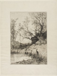 A Pond Near Rousillon, 1867, Adolphe Appian, French, 1818-1898, France, Etching on ivory wove
