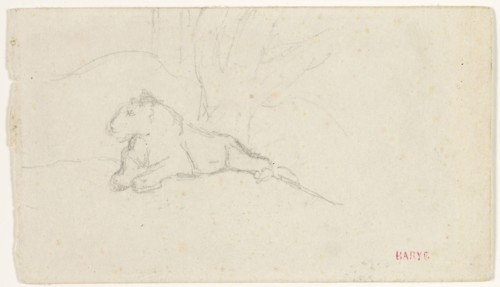 Lioness Lying near a Tree, n.d., Antoine Louis Barye, French, 1795-1875, France, Graphite on ivory