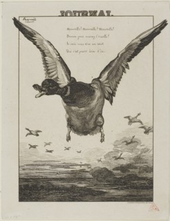 The Duck, 1856, Felix Bracquemond, French, 1833–1914, France, Etching on ivory wove paper, 175 ×