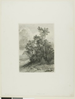 Alpine Landscape, 1861, Alexandre Calame, Swiss, 1810-1864, Switzerland, Etching on paper, 184 x