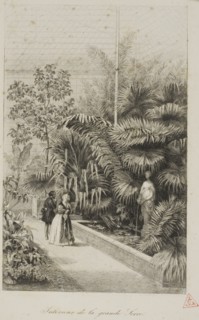 Interior of the Large Greenhouse, 1842, Charles François Daubigny, French, 1817-1878, France,