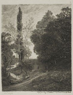 The Banks of the Cousin, 1850, Charles François Daubigny, French, 1817-1878, France, Etching on