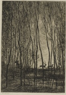 Stags in the Woods, 1850, Charles François Daubigny, French, 1817-1878, France, Etching on cream
