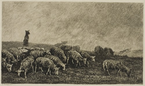 The Dog’s Watch, 1857, Charles François Daubigny, French, 1817-1878, France, Etching on cream