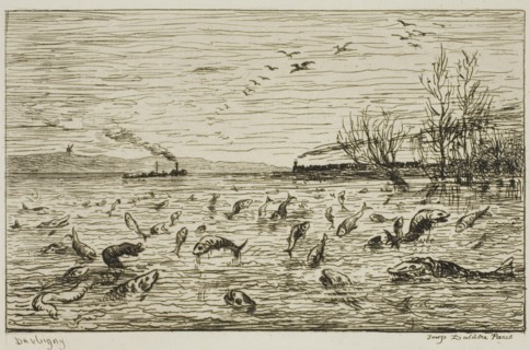 Celebration of the Fish on the Departure of the Ship’s Boy (The Fish), 1861, Charles François