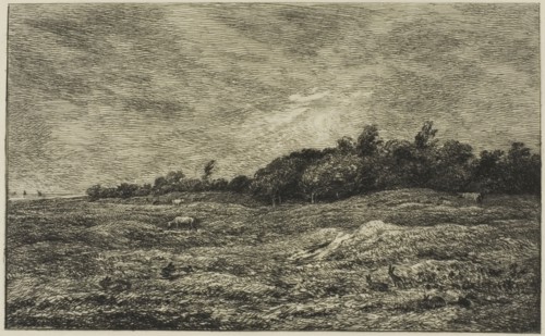 Le Pré des Graves à Villerville (Calvados), 1875, Charles François Daubigny, French, 1817-1878,