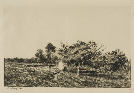 Apple Trees at Auvers, 1877, Charles François Daubigny, French, 1817-1878, France, Etching and