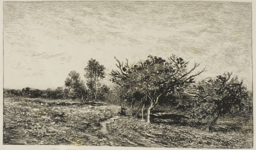 Apple Trees at Auvers, 1877, Charles François Daubigny, French, 1817-1878, France, Etching and