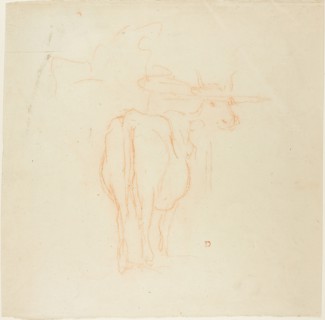 Standing Cattle, n.d., Charles François Daubigny, French, 1817-1878, France, Red chalk on tan laid