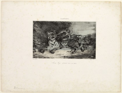 Young Tiger Playing with its Mother, 1831, Eugène Delacroix, French, 1798-1863, France, Lithograph