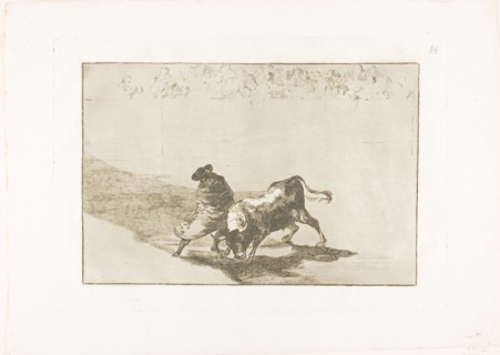 The Very Skilful Student of Falces, Wrapped in his Cape, Tricks the Bull with the Play of his Body,