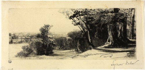 Early Morning, Richmond Park, 1859, Francis Seymour Haden, English, 1818-1910, England, Etching and