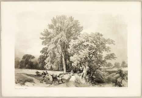 Abele and Oak, from The Park and the Forest, 1841, James Duffield Harding (English, 1798-1863),