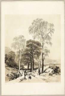 Birch and Oak, from The Park and the Forest, 1841, James Duffield Harding (English, 1798-1863),