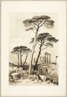 Stone Pines, from The Park and the Forest, 1841, James Duffield Harding (English, 1798-1863),