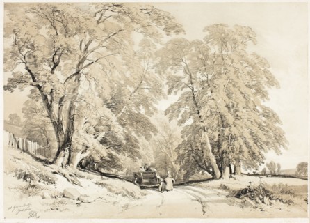 Ash, from The Park and the Forest, 1841, James Duffield Harding (English, 1798-1863), printed by