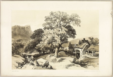 Ash and Oak, from The Park and the Forest, 1841, James Duffield Harding (English, 1798-1863),