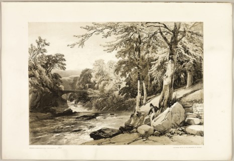 Beech and Ash on the Greta, from The Park and the Forest, 1841, James Duffield Harding (English,