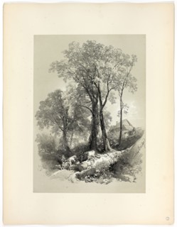 Shipley Bridge, Devon, from Picturesque Selections, 1859, James Duffield Harding, (English,