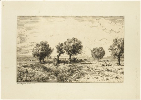 Willows in a Landscape, 1844, Charles Émile Jacque, French, 1813-1894, France, Etching on light