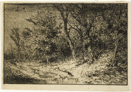 Road at the Edge of a Wood, 1846, Charles Émile Jacque, French, 1813-1894, France, Etching,