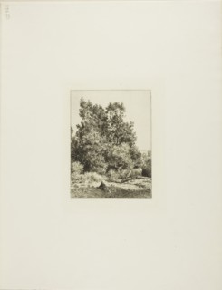 Landscape with Cowherd, c. 1865, Charles Émile Jacque, French, 1813-1894, France, Etching on ivory