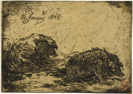 Two Pigs Lying Down, 1846, Charles Émile Jacque, French, 1813-1894, France, Etching on buff chine,