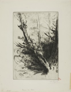 In a Wood, c. 1885, Alphonse Legros, French, 1837-1911, France, Drypoint and plate tone on ivory