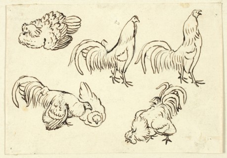 Sketches of Poultry, n.d., Attributed to Henry Stacy Marks, English, 1829-1898, England, Pen and