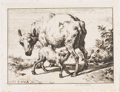The Ewe with Two Lambs, 1850, Charles Meryon (French, 1821-1868), after Adriaen van de Velde