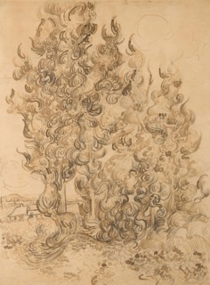 Cypresses, 1889, Vincent van Gogh, Dutch, 1853-1890, Netherlands, Pen and reed pen and brown inks,
