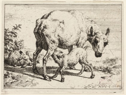The Lamb, 1670, Adriaen van de Velde, Dutch, 1636-1672, Holland, Etching in black on ivory wove