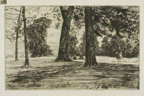 Greenwich Park, 1859, James McNeill Whistler, American, 1834-1903, United States, Etching and