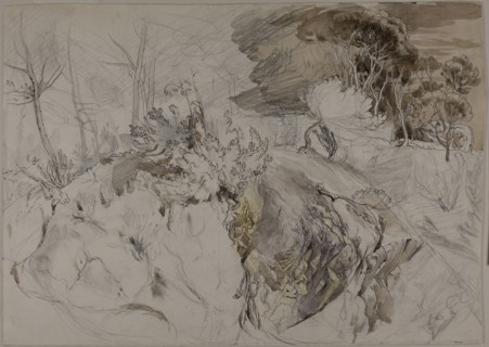 Shrubs and Trees in Rocky Landscape, c. 1845, John Ruskin, English, 1819-1900, England, Pen and