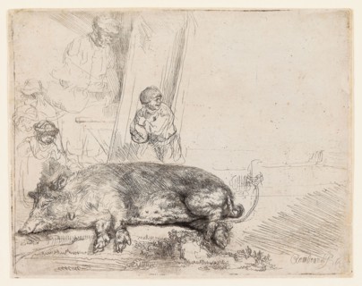 The Hog, 1643, Rembrandt van Rijn, Dutch, 1606-1669, Holland, Etching and drypoint on paper, 143 x