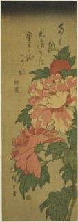 Peonies, c. 1843/47, Utagawa Hiroshige ?? ??, Japanese, 1797-1858, Japan, Color woodblock print,