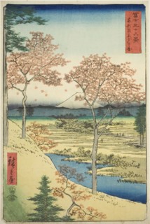 Yuhi Hill at Meguro in the Eastern Capital (Toto Meguro Yuhigaoka), from the series Thirty-six