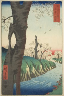 Koganei in Musashi Province (Musashi Koganei), from the series Thirty-six Views of Mount Fuji (Fuji