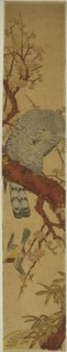 Hawk on Plum Branch Looking Down at Fleeing Bird, c. 1775, Attributed to Isoda Koryusai, Japanese,
