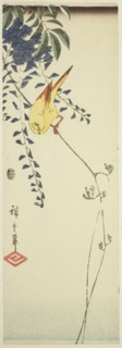 Canary and wisteria, c. 1843/47, Utagawa Hiroshige ?? ??, Japanese, 1797-1858, Japan, Color