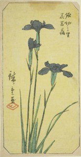 Iris at Horikiri Village (Horikiri no sato hanashobu), section of a sheet from the series Cutout