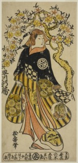 The Actor Hayakawa Shinkatsu as a Woman Standing under Cherry Tree, c. 1724, Shoju, Japanese, 18th