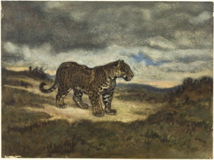 Jaguar Standing, 1830/50, Antoine Louis Barye, French, 1795-1875, France, Watercolor, with black