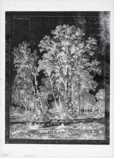 Shepherd Resting in a Clearing, 1849, Henri Joseph Harpignies, French, 1819-1916, France, Etching