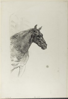 Philibert the Pony, 1898, Henri de Toulouse-Lautrec, French, 1864-1901, France, Lithograph on ivory