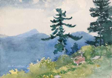North Woods Club, Adirondacks (The Interrupted Tete-a-Tete), 1892, Winslow Homer, American,