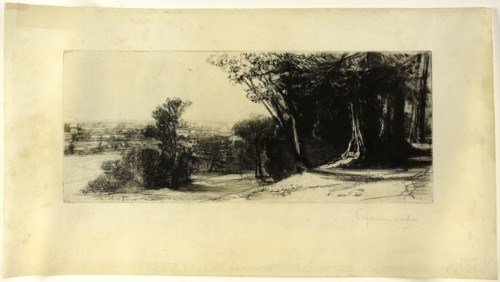 Early Morning, Richmond Park, 1859, Francis Seymour Haden, English, 1818-1910, England, Etching and
