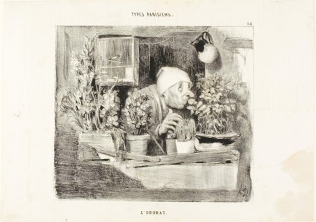 Smell, plate 38 from Types Parisiens, 1839, Honoré Victorin Daumier, French, 1808-1879, France,