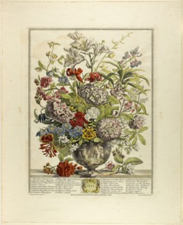 July, n.d., Henry Fletcher (English, 1710-1750), after Peter Casteels III (Flemish, 1684-1749),