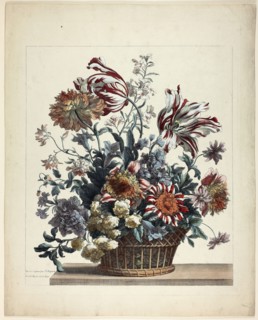 Corbeille, n.d., Jean Baptiste Monnoyer, French, 1636-1699, France, Hand-colored etching on paper